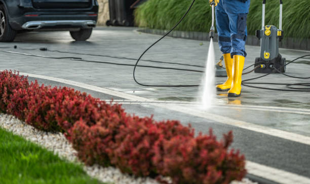 Best Residential Exterior Washing  in Juarez, TX